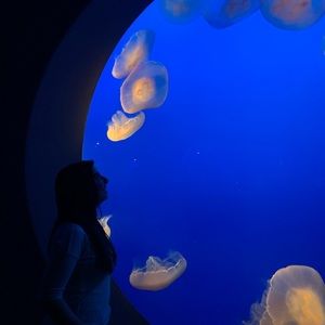 Meet your Posher, Chic Cowgal